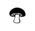 0819_Mushroom 0819_Mushroom