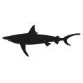 0718_Shark 0718_Shark