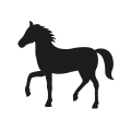 0705_Horse 0705_Horse