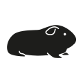 0712_Guinea-Pig 0712_Guinea-Pig