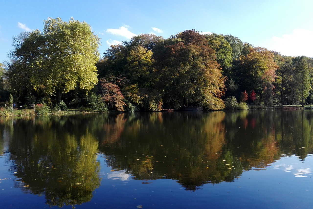 Rombergpark in Dortmund