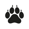 0702_Paw 0702_Paw