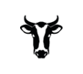 0729_Cow 0729_Cow