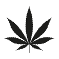 0617_Canna 0617_Canna