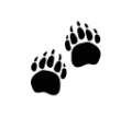 0730_Bear-Paws 0730_Bear-Paws