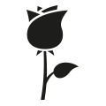 0027_Rose 0027_Rose