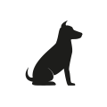 0703_Dog 0703_Dog