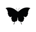 0719_Butterfly 0719_Butterfly