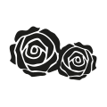 0028_Roses 0028_Roses