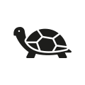 0709_Turtle 0709_Turtle
